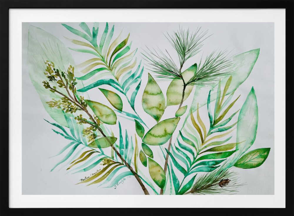 Plantum Argentum | Poster