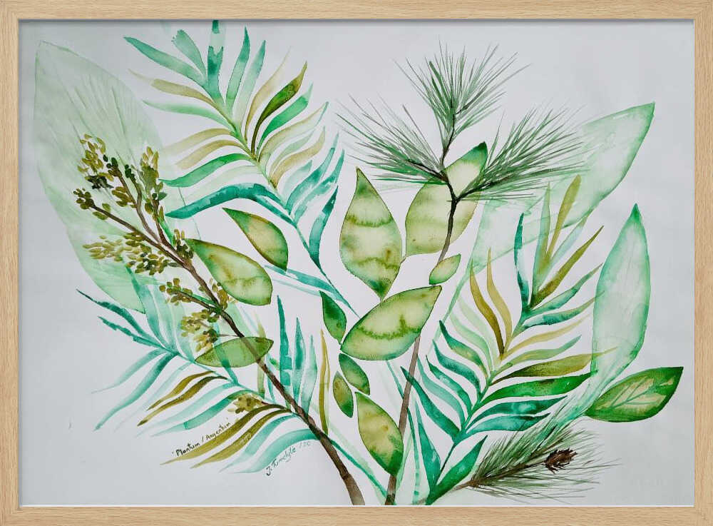 Plantum Argentum | Poster