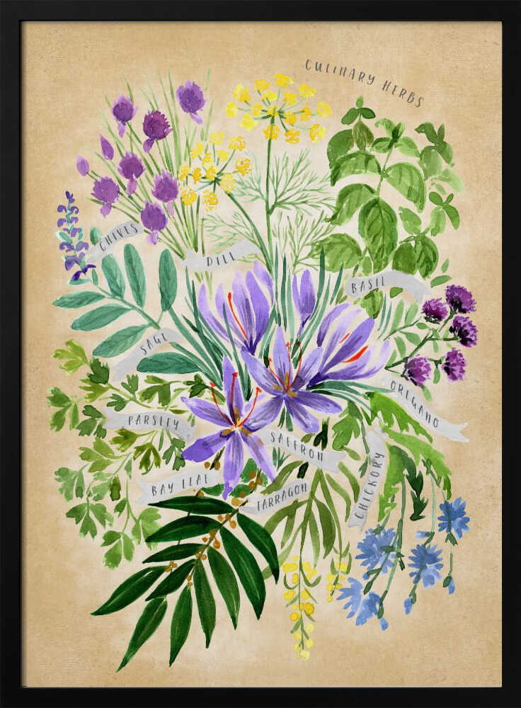 Herbes culinaires en sépia vintage | Affiche