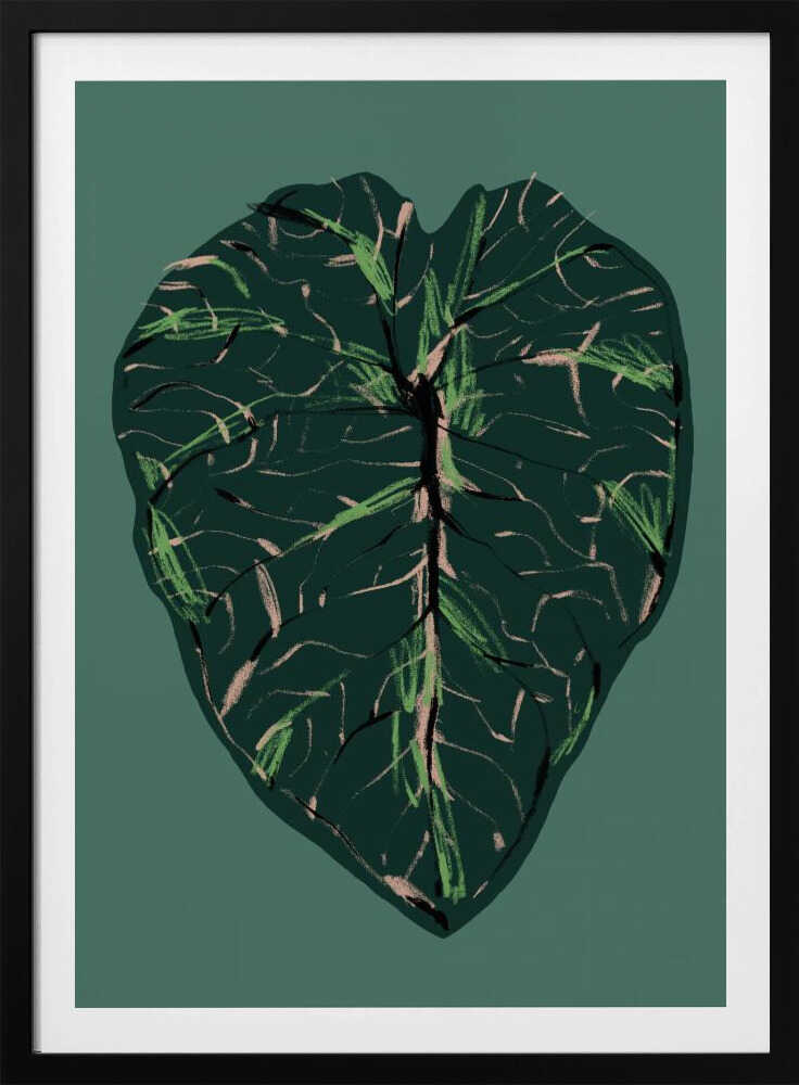 Alocasia Melo Dark | Poster