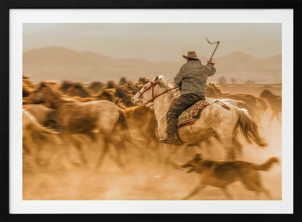 Wild horses (aka Yılkı Atları) | Poster