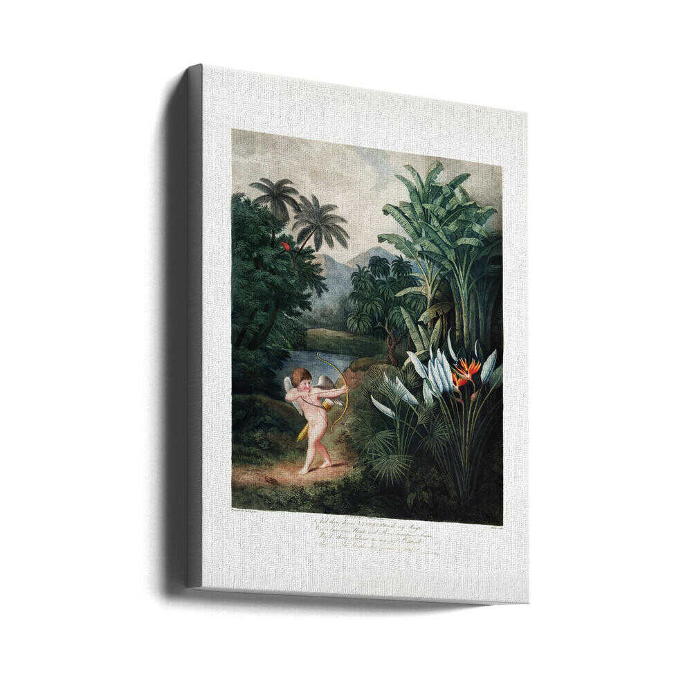 Cupid Inspiring Plants with Love from The Temple of Flora (1807) | Canvas