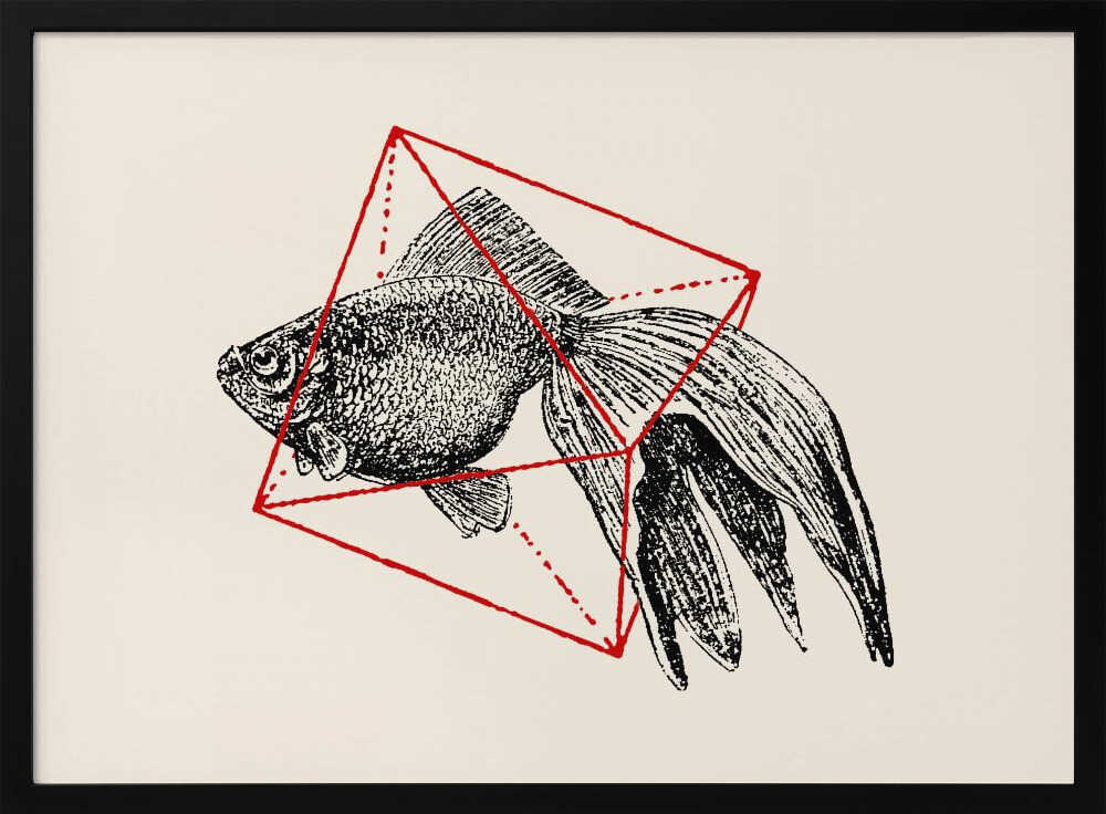 Fish In Geometrics Nº3 | Poster