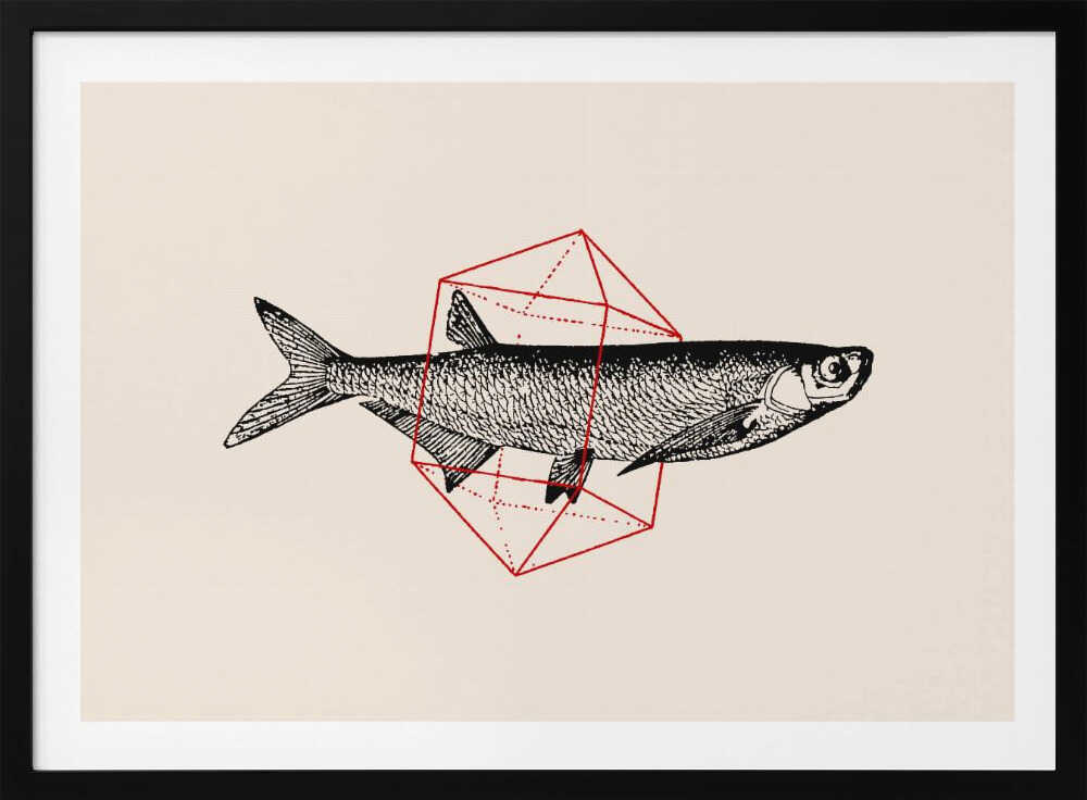 Fish In Geometrics Nº2 | Poster