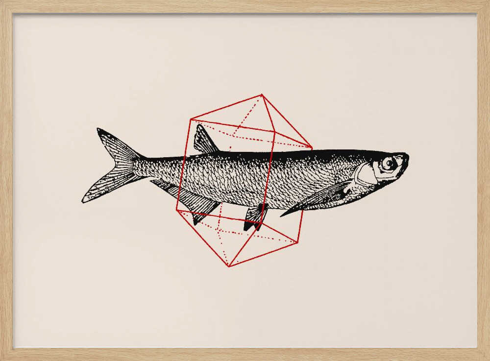 Fish In Geometrics Nº2 | Poster
