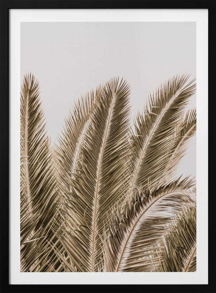 Windswept Palms | Poster
