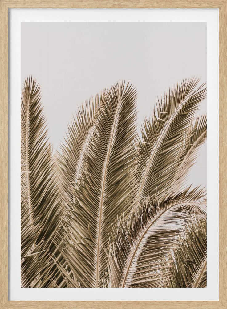 Windswept Palms | Poster