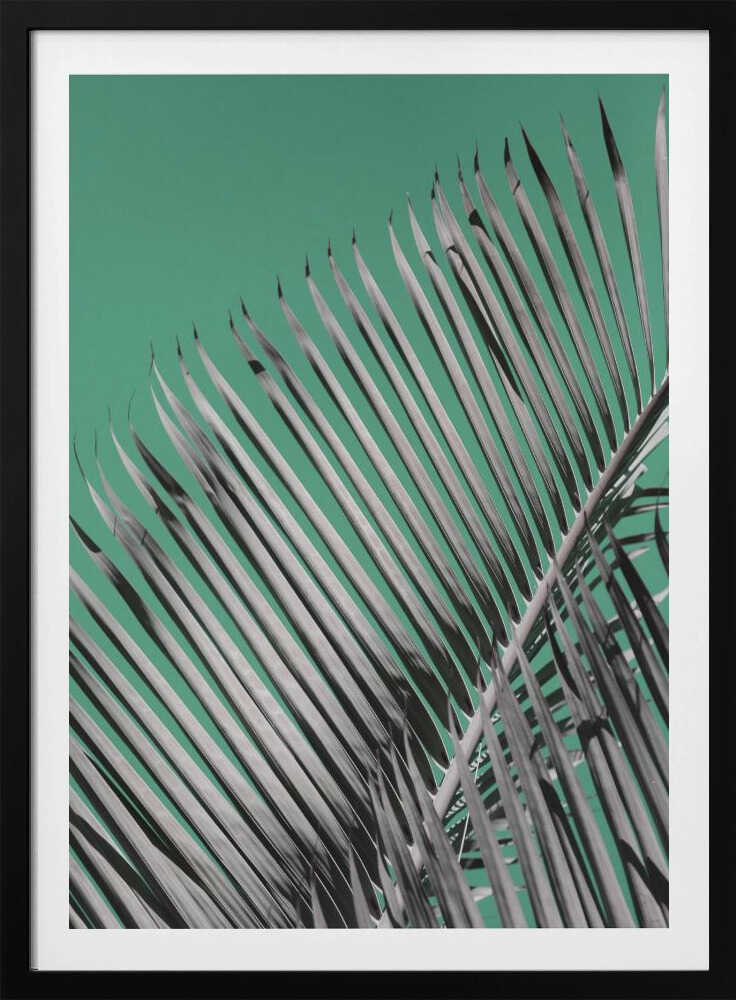 Palmen-Gelassenheit | Poster