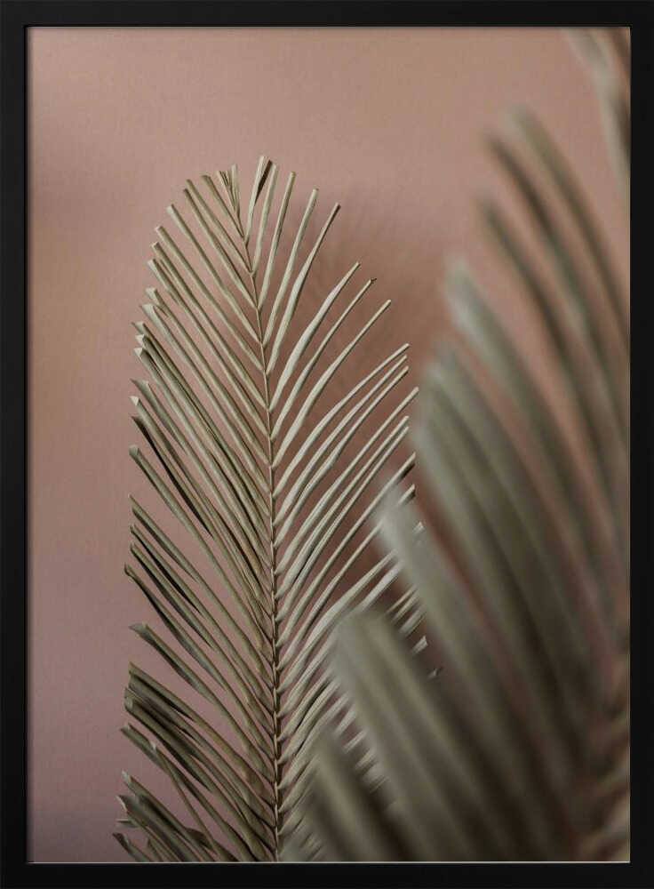 Last Summer 25 | Poster