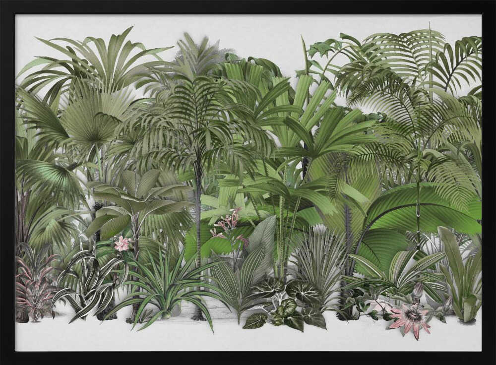 Exotic Wildlife 003 1 | Poster