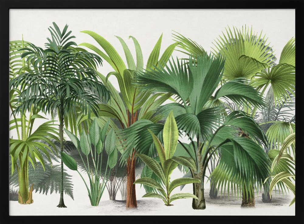 Exotic Wildlife 004 | Poster