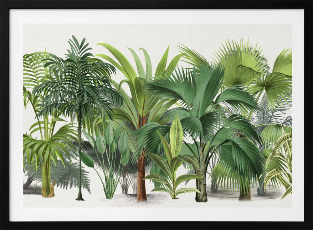 Exotic Wildlife 004 | Poster