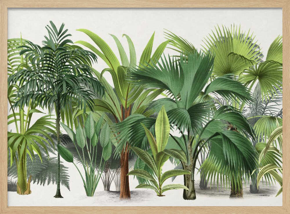 Exotic Wildlife 004 | Poster