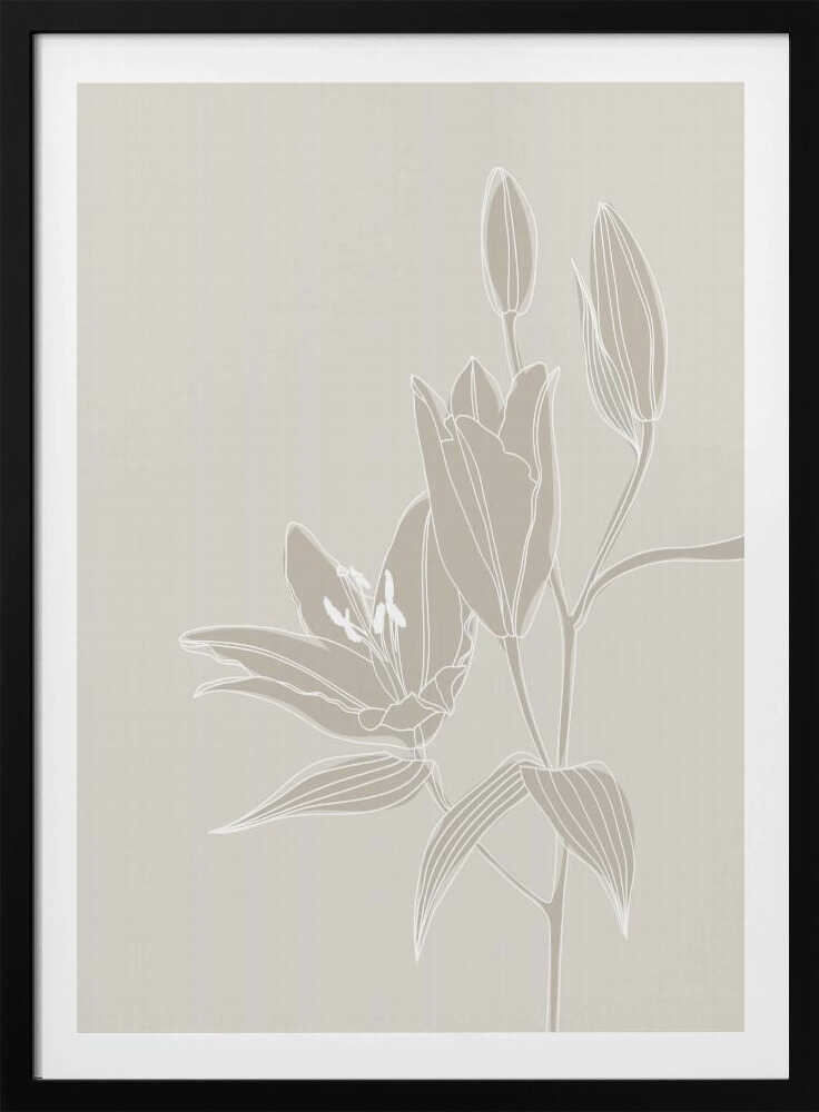 Strichzeichnung von Lilien in Weiß | Poster