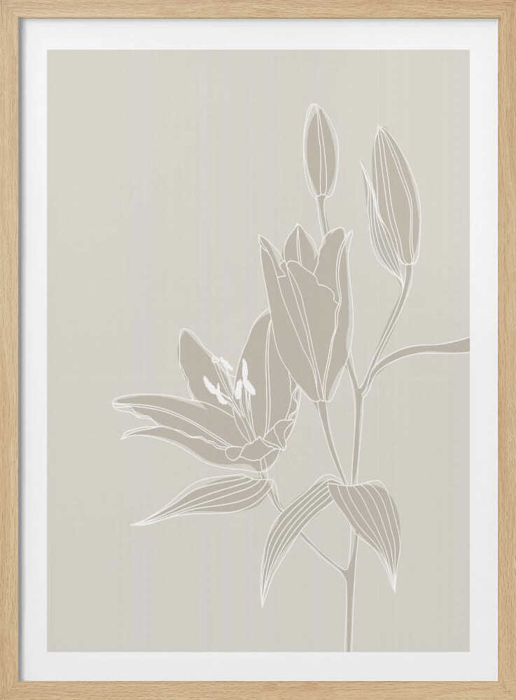 Strichzeichnung von Lilien in Weiß | Poster