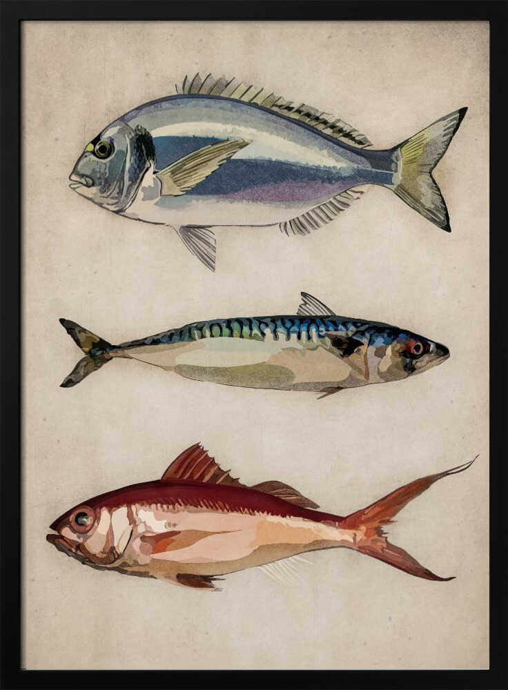 Drei Meeresbewohner | Poster