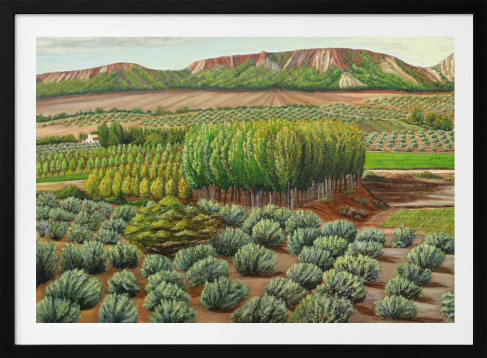 Bright Morning In Alcudia | Poster