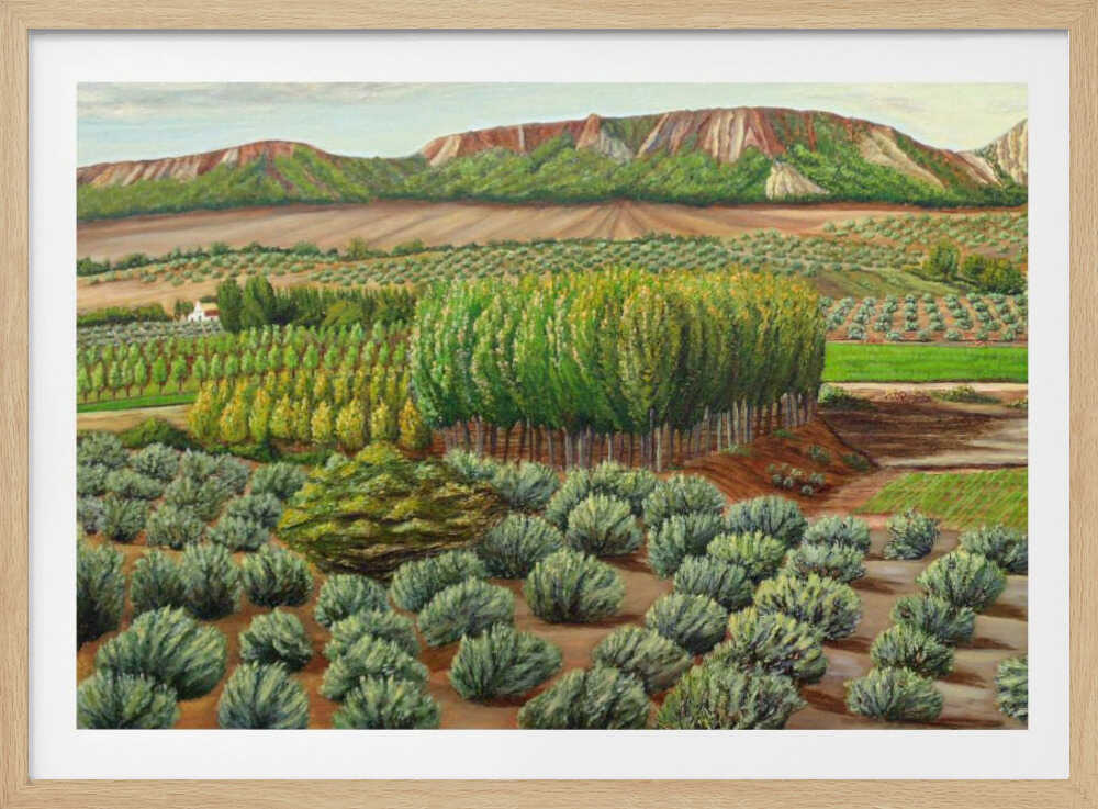 Bright Morning In Alcudia | Poster