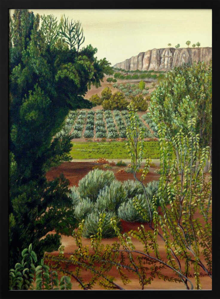 Olivenbäume im Hochgebirge | Poster