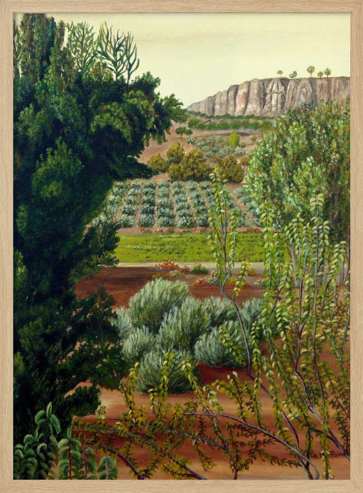 Olivenbäume im Hochgebirge | Poster