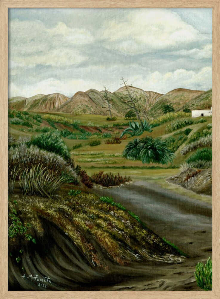 Pitas' Path | Poster