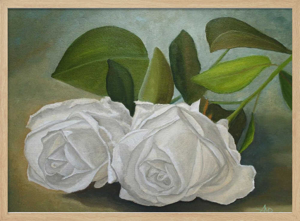 White Roses | Poster