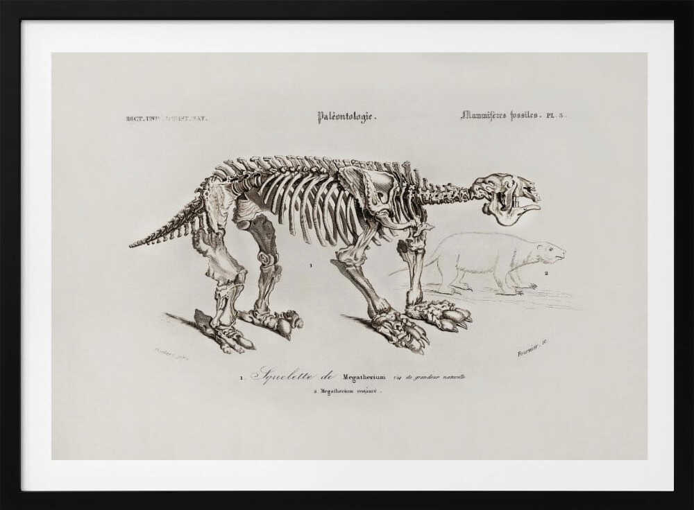 Megatherium | Poster