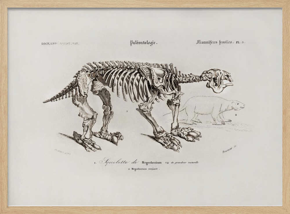 Megatherium | Poster