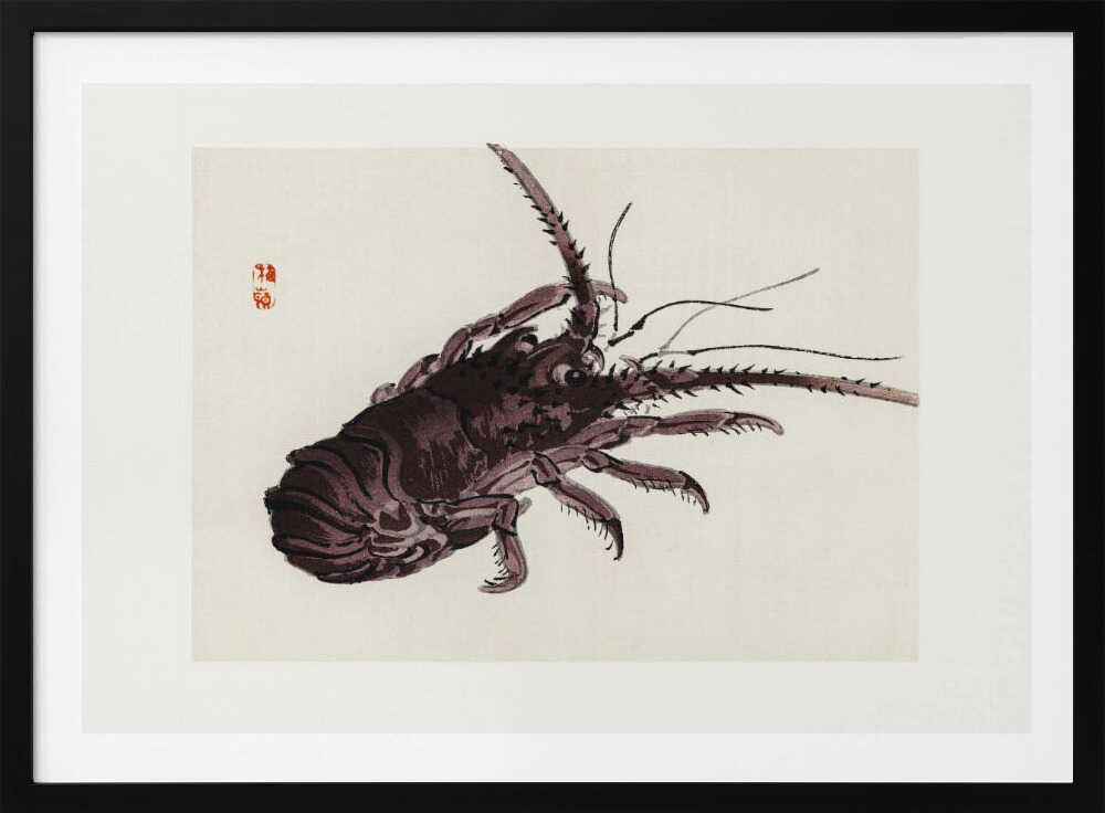 Flusskrebse | Poster