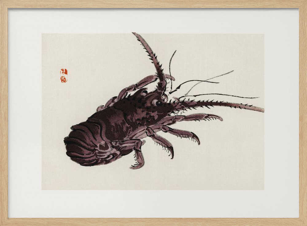 Flusskrebse | Poster