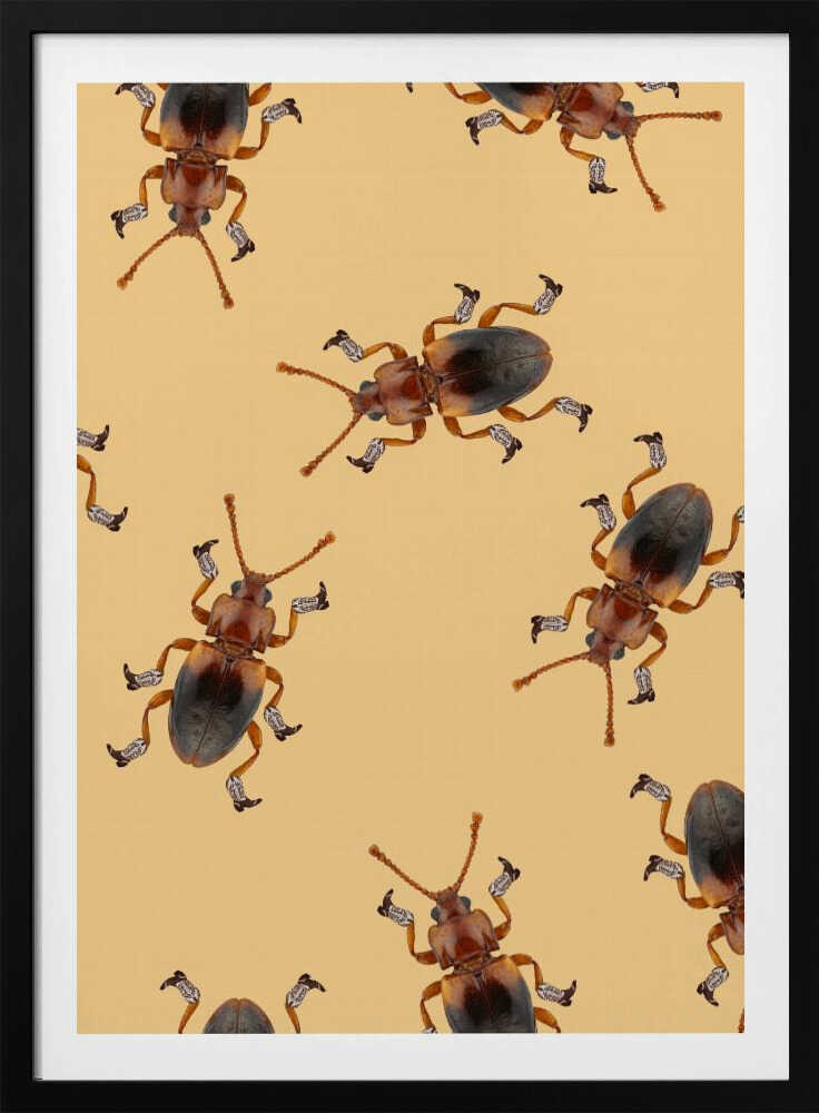 Billy, der Stiefelkäfer | Poster