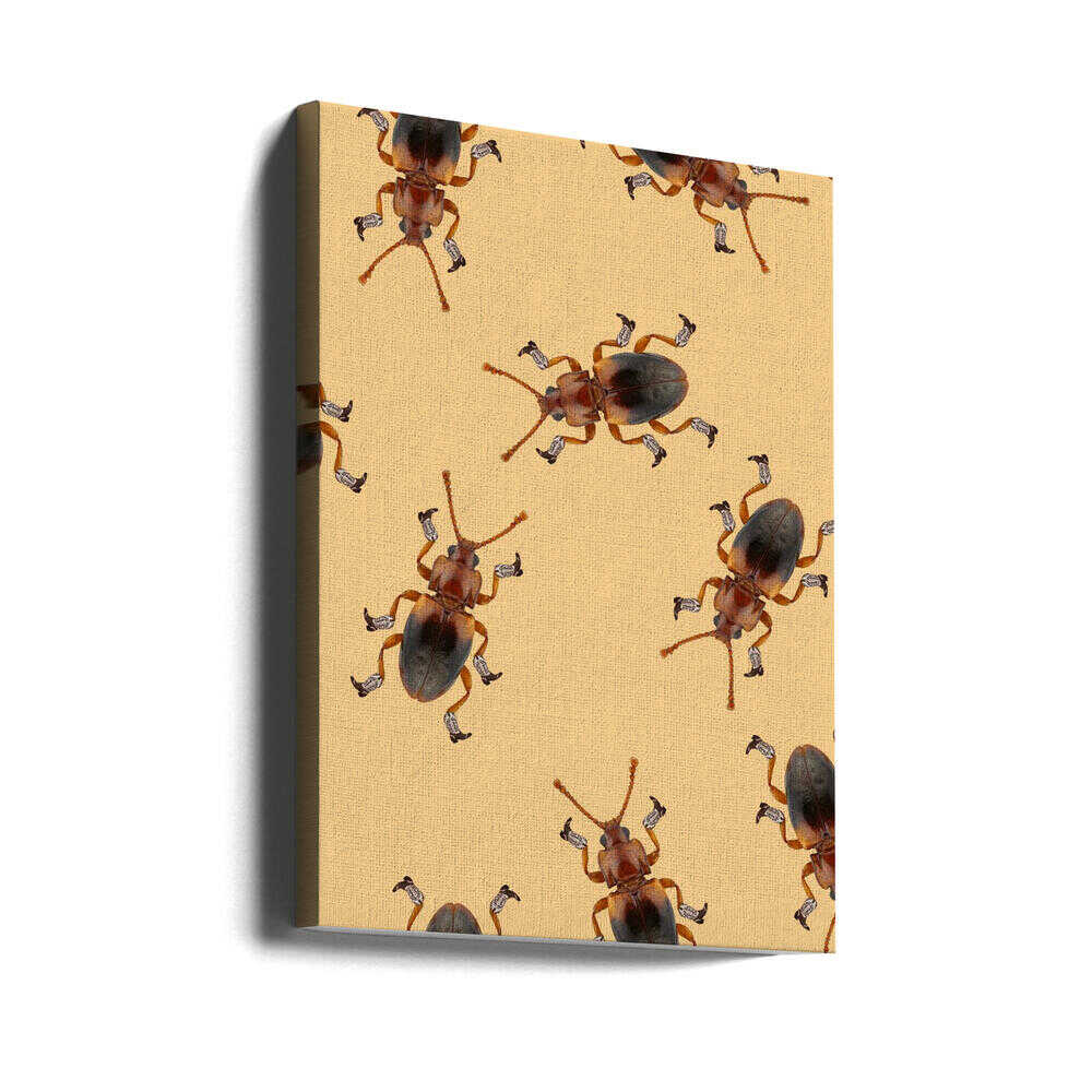 Billy The Booted Beetle | Canvas