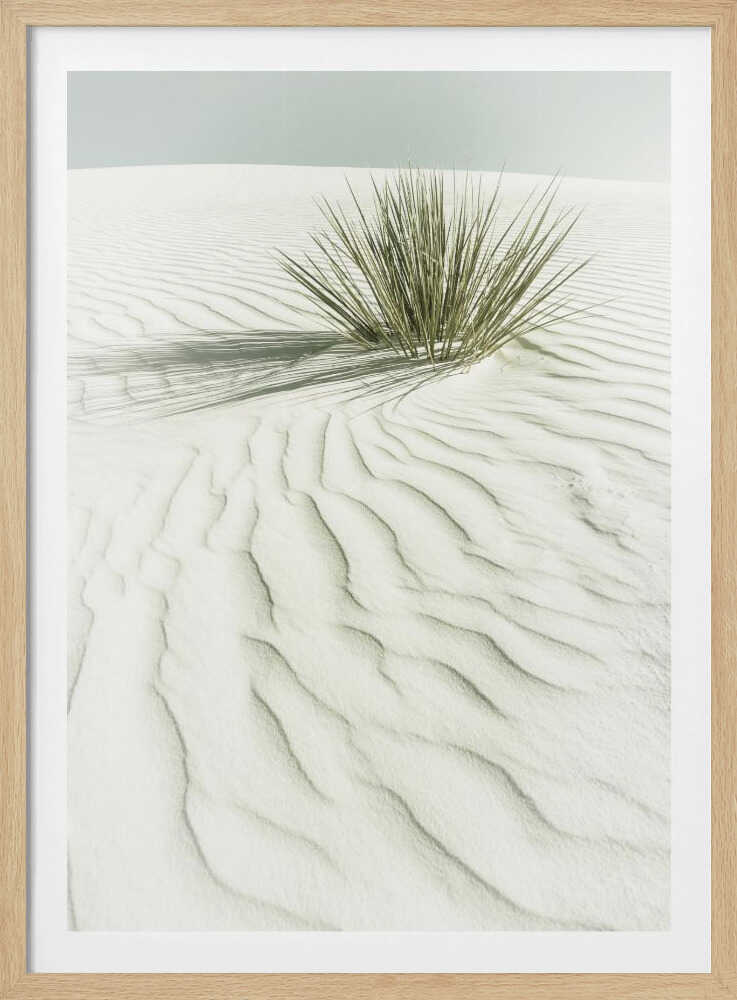 SABLES BLANCS Paysage vintage idyllique | Affiche