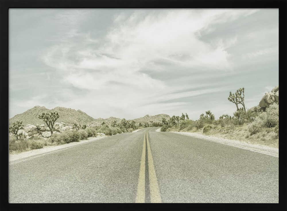 Vintage Joshua Trees, Park Boulevard | Poster