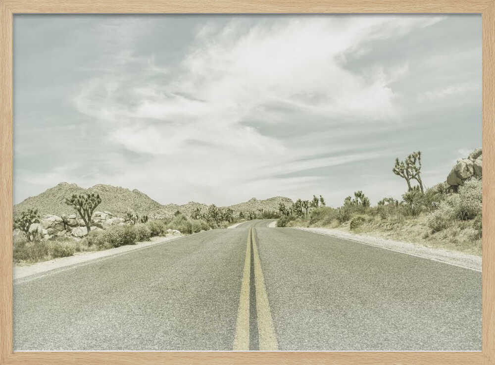 Vintage Joshua Trees, Park Boulevard | Poster