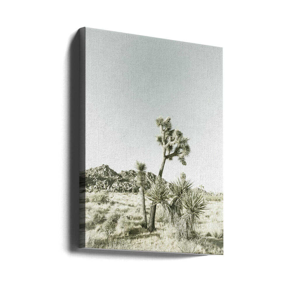 Impression vintage du parc national de Joshua Tree | Toile