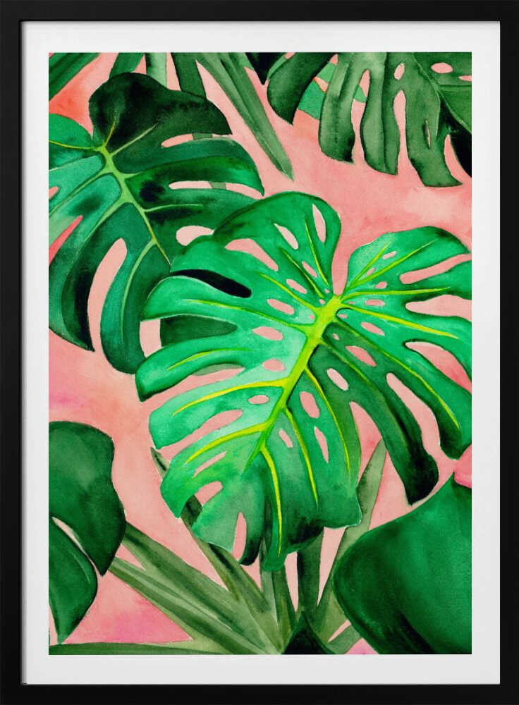 Monstera | Affiche