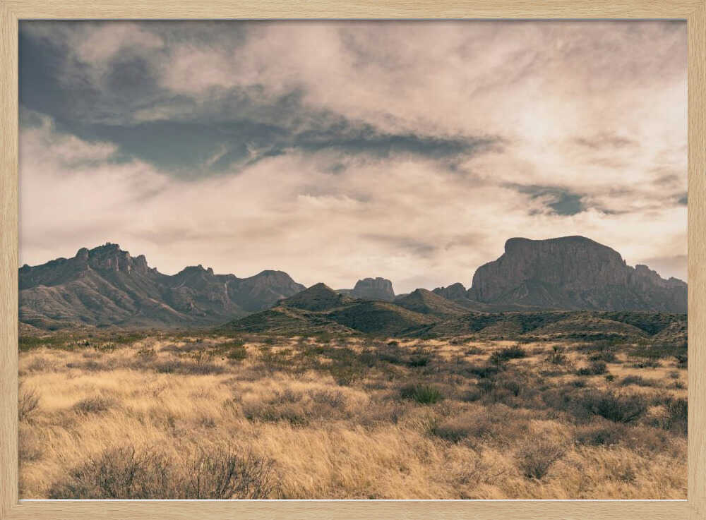 Isolation (1 of 1) | Poster