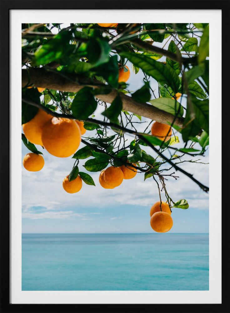 Amalfi Coast Oranges IV | Poster