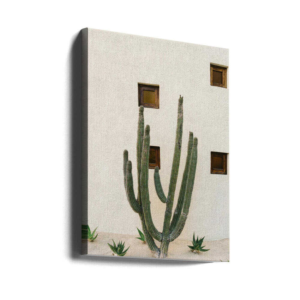 Cabo Cactus IX | Toile