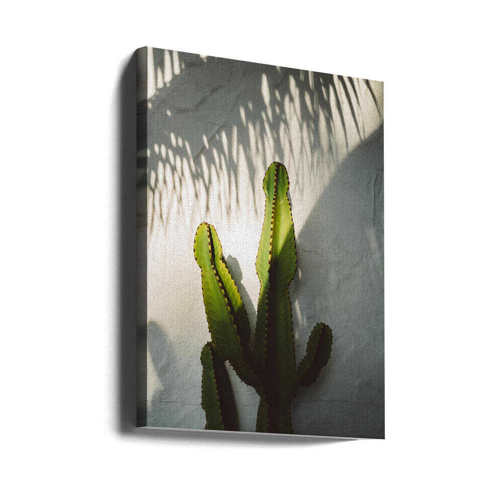 Ombres de Californie du Sud | Toile