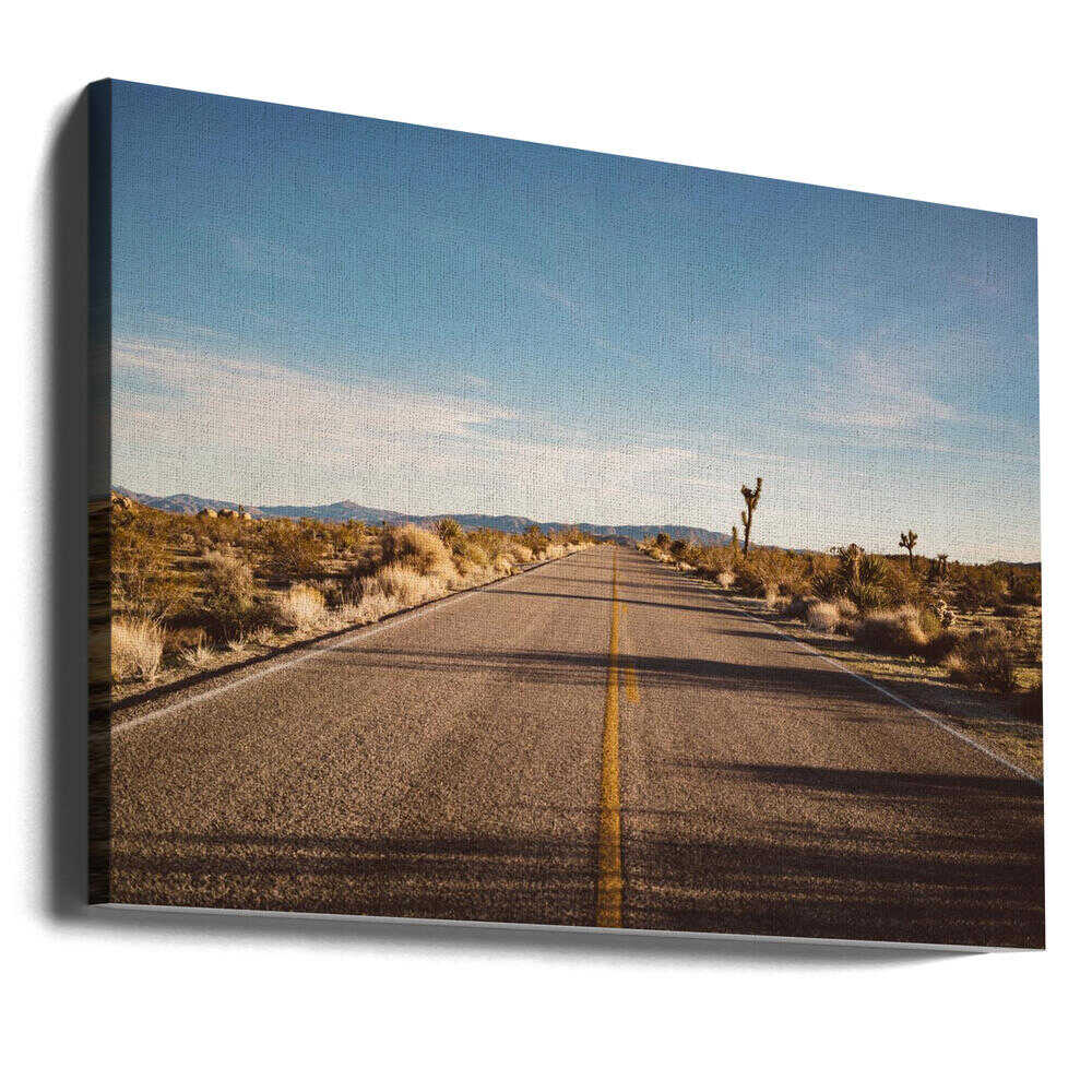 Joshua Tree Road | Canvas