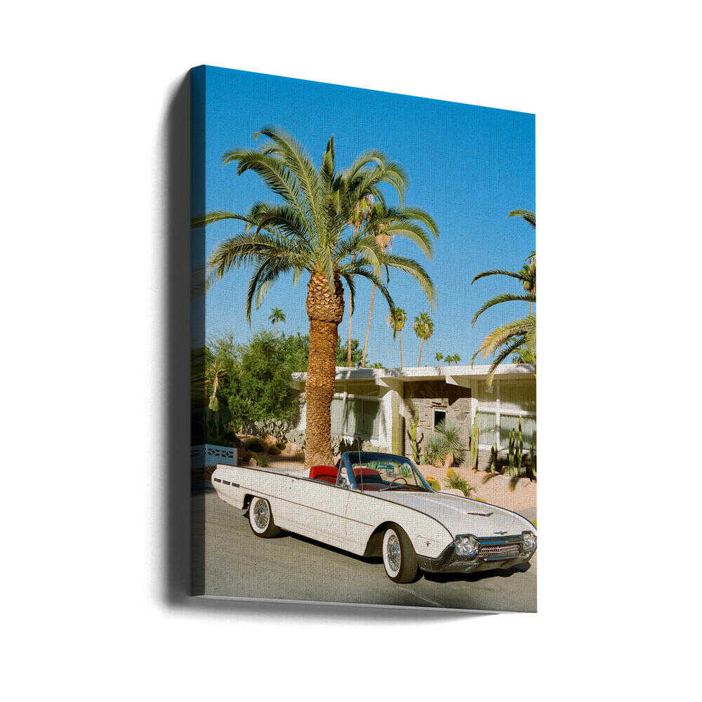 Palm Springs Thunderbird | Toile
