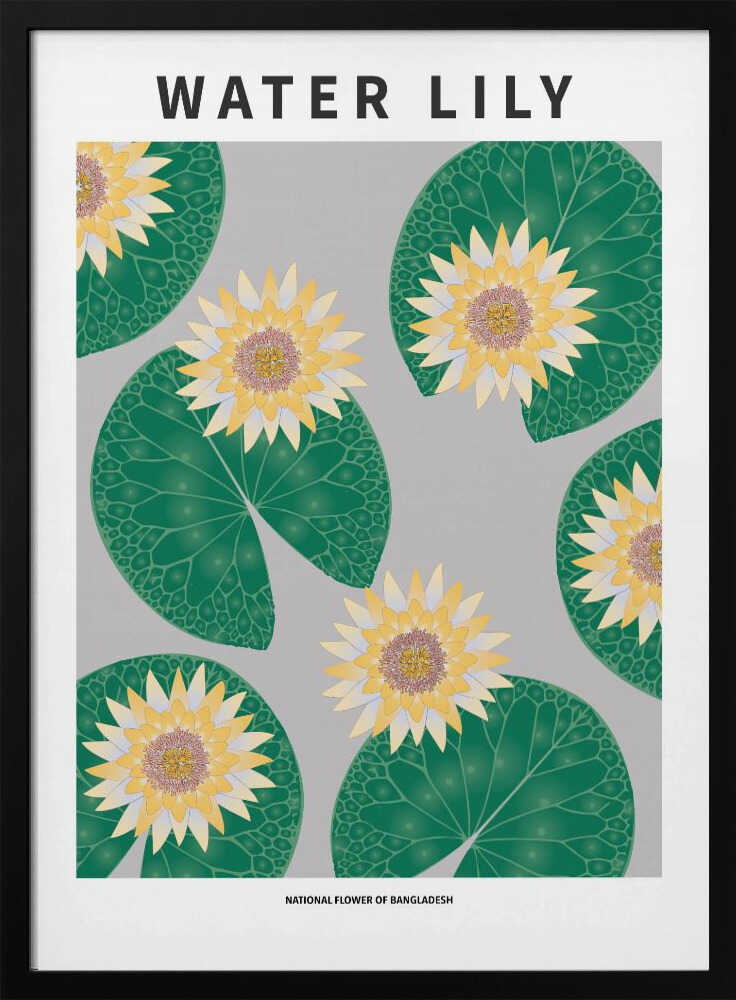Nénuphar - Fleur nationale du Bangladesh | Affiche