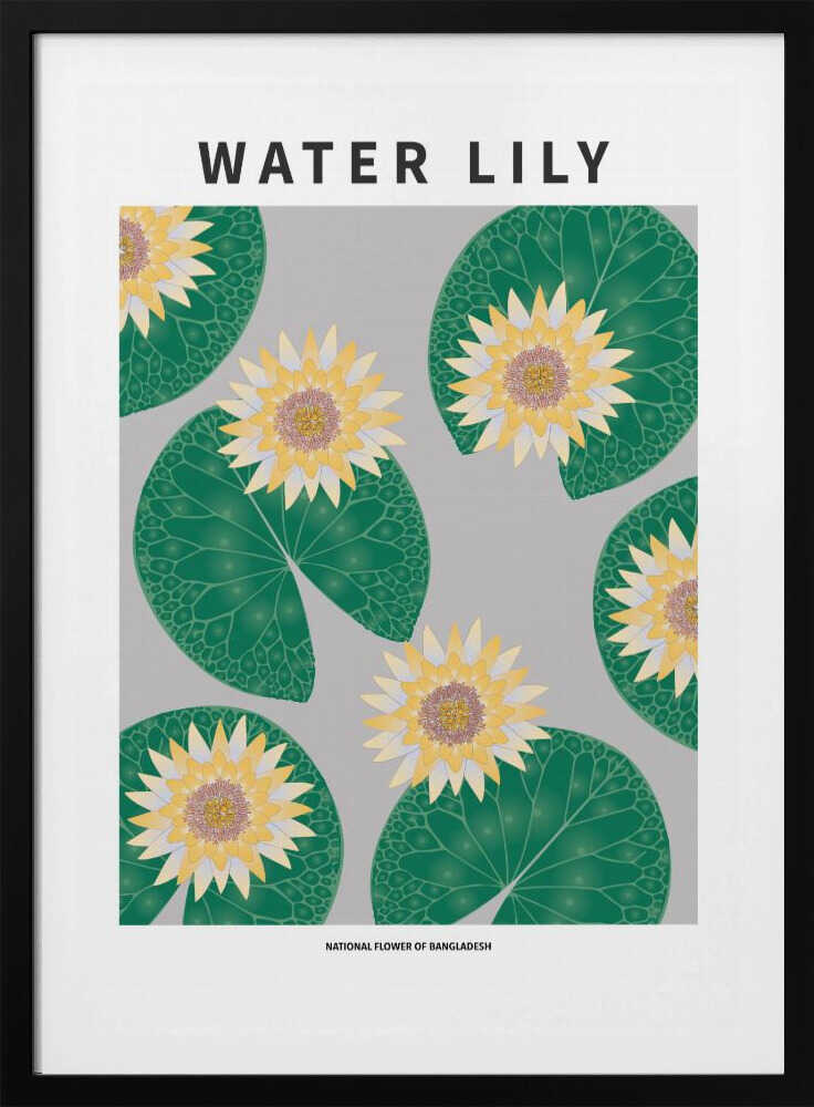 Nénuphar - Fleur nationale du Bangladesh | Affiche