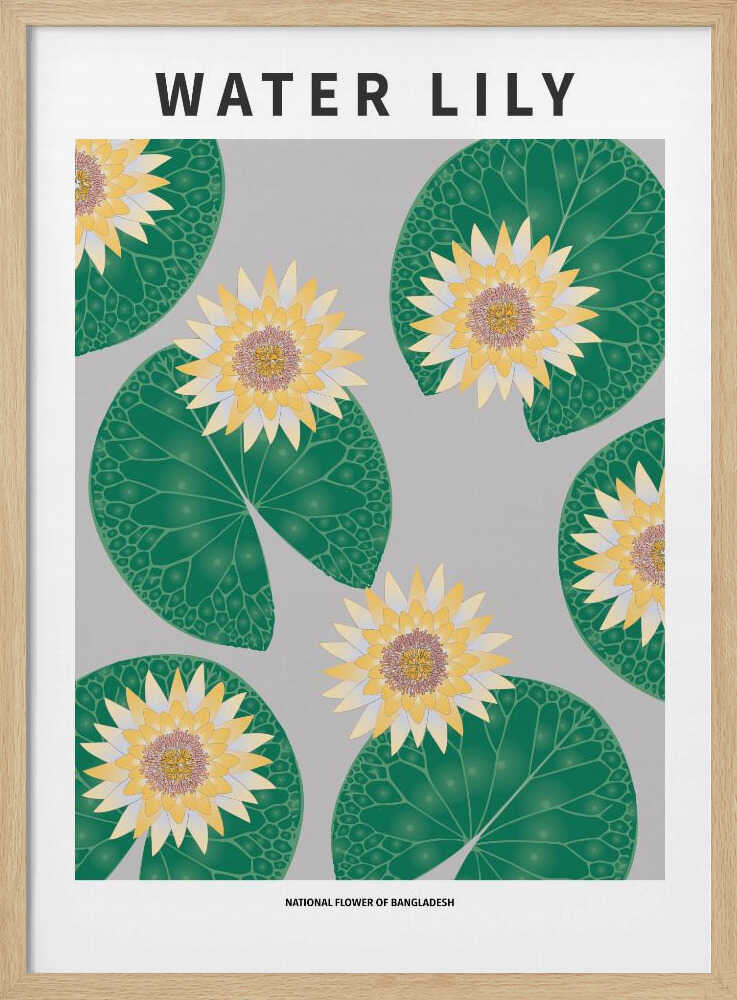 Nénuphar - Fleur nationale du Bangladesh | Affiche