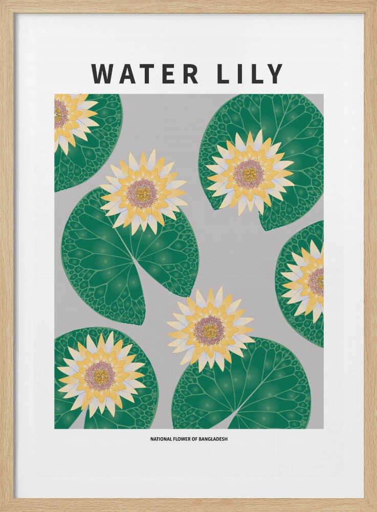Nénuphar - Fleur nationale du Bangladesh | Affiche