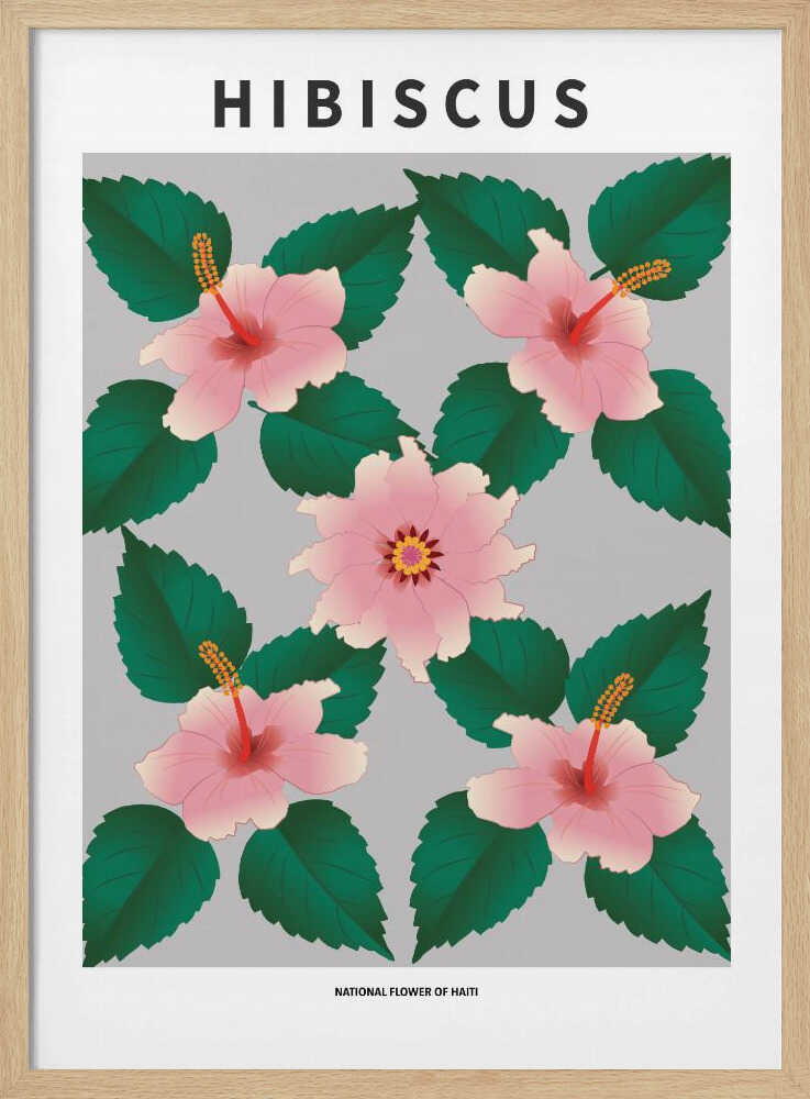 Hibiskus – Nationalblume Haitis | Poster