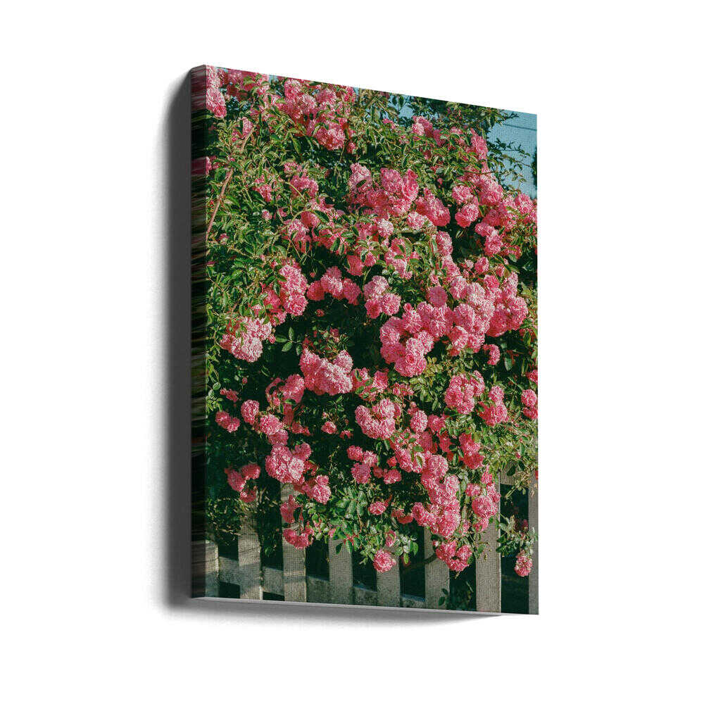 Fleurs de Cannon Beach | Toile