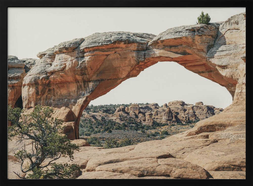 Vue vers l'ouest | Affiche